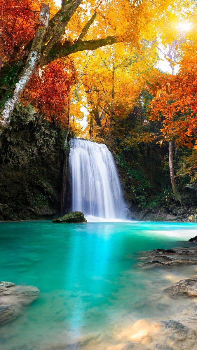 acidogp9's tweet image. 