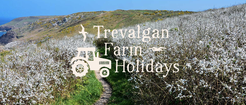 NatureBathing tweet media