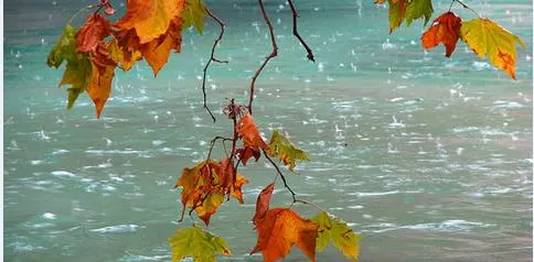 MLFranciolini's tweet photo. When I think of you
and all the happiness we knew
Something deep inside
denies it ever could be true
Sweet September rain
if you would please return again...⬇
https://t.co/n2ESE0s763
T. Christie - Sweet September
#SettembreCon la musica 🎻a #CasaLettori
@Maria_AnnaPatti https://t.co/3zRrDwohMp