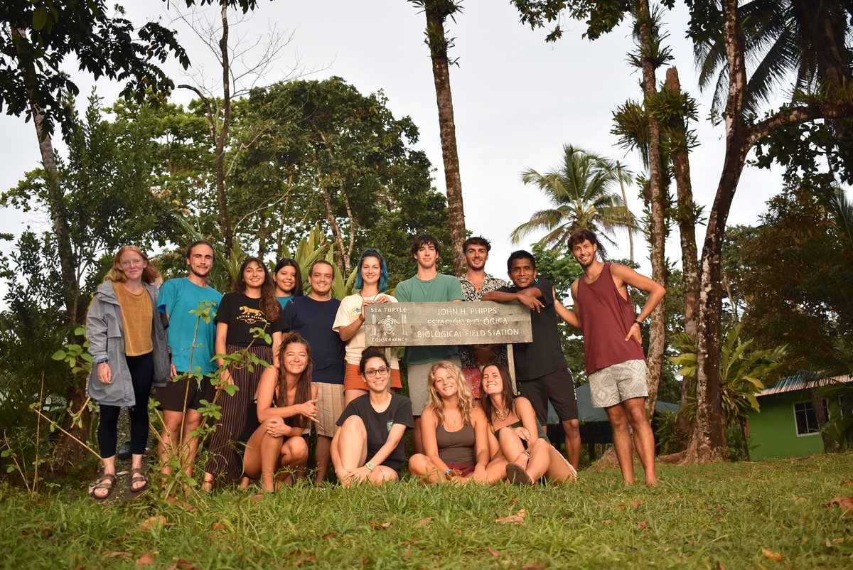 LorraineAnne99's tweet photo. I've had an amazing 5 weeks with @conserveturtles #Tortuguero for my @MarineVertsMSc research project. My study focusses on predicting the primary sex ratio of the green #turtles at this important nesting beach. Met inspiring people and gained invaluable experience. Pura Vida! 🇨🇷 https://t.co/NzoJepVstf
