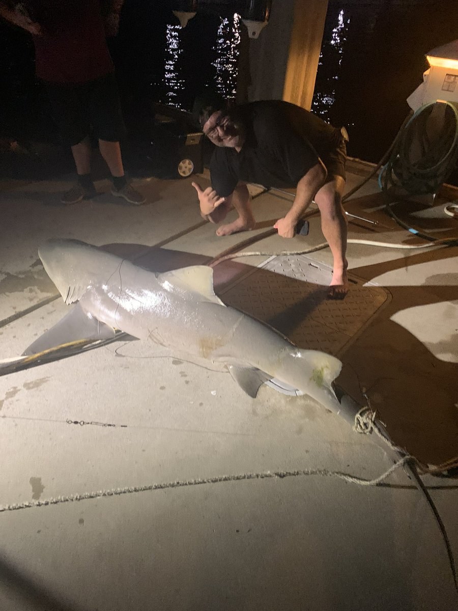 eric_mcgaha's tweet photo. Snagged a 8ft 🍋 shark had a blast on the USS Family Traditions https://t.co/Zu83q9k2Q7