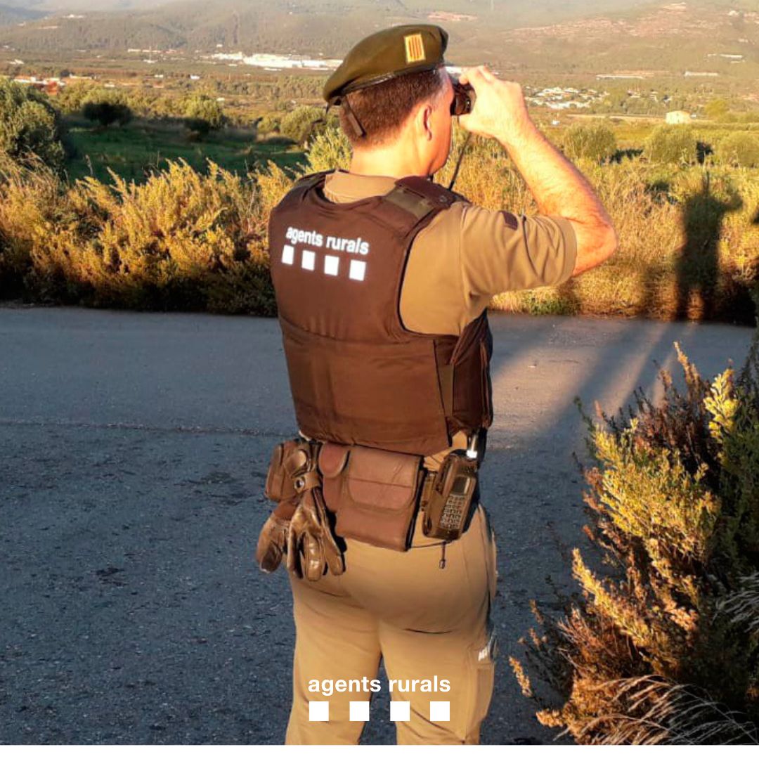 agentsruralscat's tweet photo. 📅 Demà comença el període de #caça major. 

En la pràctica de la cacera  cal recordar:

✋ Mantenir les distàncies de seguretat 
♻️ Recollir els cartutxos
📄 Dur tota la documentació

✔️ Per una #caçasegura  

👉 Més informació: https://t.co/XlYbEmQZB5 https://t.co/8btL8OopK8