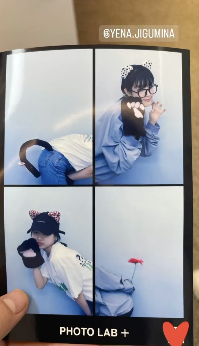 loving_YY's tweet photo. 조윯이 최얘나 고양이 사진 찍음...페스티벌 끝나고 연상 집 가서 밥 머금... https://t.co/bKD51cxrCN