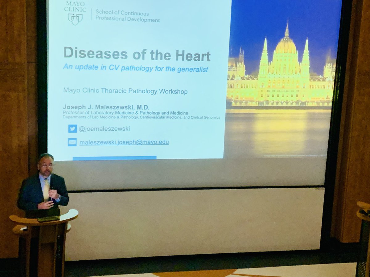 beatanagy26's tweet photo. It was an honor to welcome Prof. Maleszewski along with other thoracic pathology experts in our institute at the Mayo Clinic Thoracic Pathology Workshop. Thank you for the excellent talks! @joemaleszewski @MayoClinicPath https://t.co/ylhjLwZ7AI