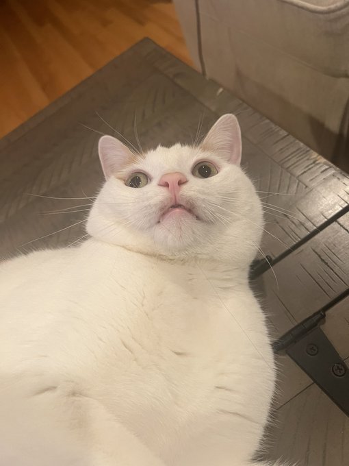 People be like &ldquo;I would literally overthrow several feudal lords and destroy a planet for you.&rdquo; and they&rsquo;re<a href="/tag/ootd"class="tags"><span>#ootd</span></a>