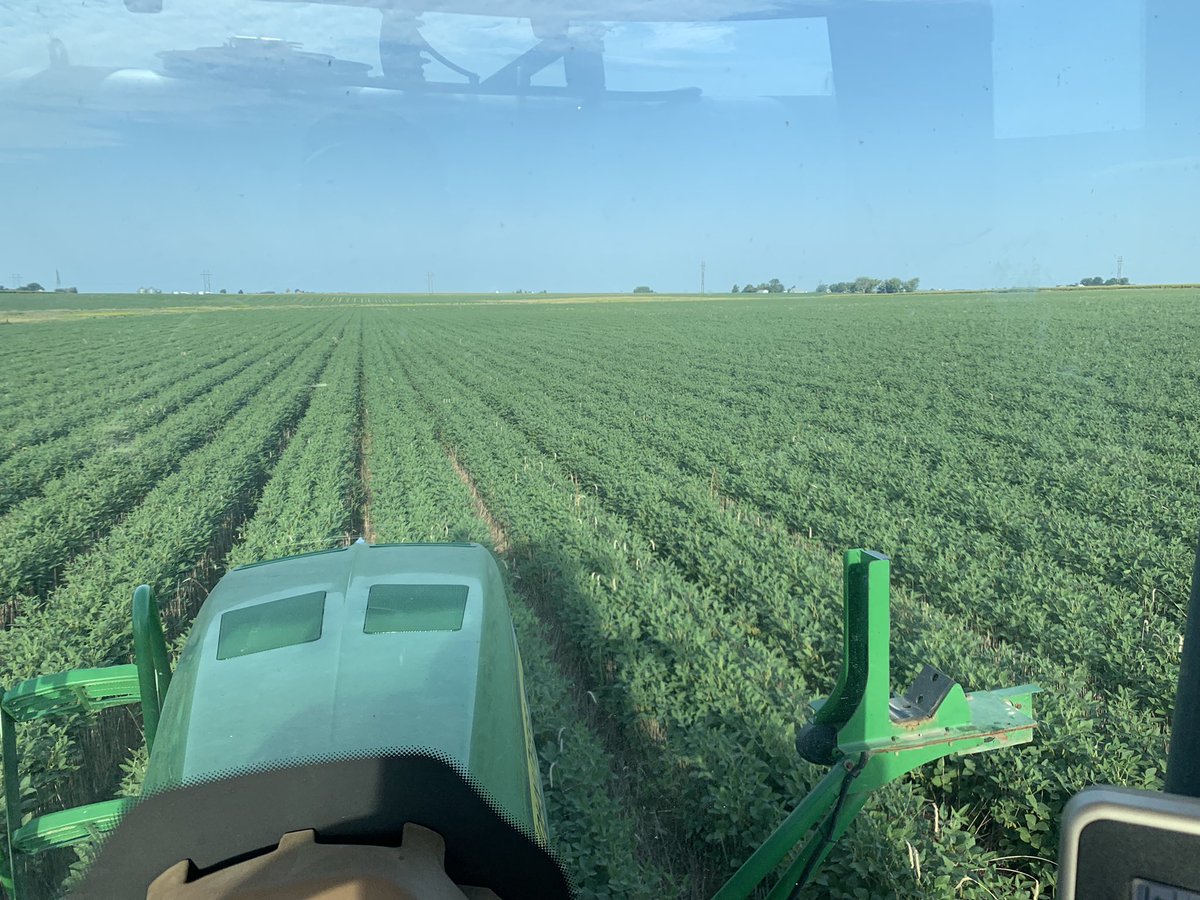 Vittetoe761's tweet photo. Relays getting their final top off for the season. Nice stand of volunteer rye already growing between the bean strips. #Relay22 https://t.co/9gkkA7C4iG