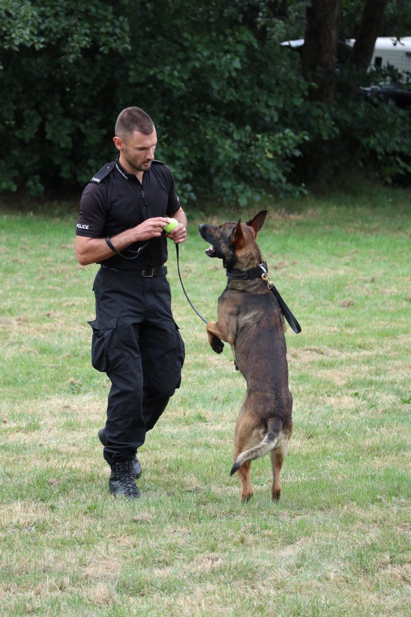 Fabulous visit to ⁦<a href="/WMPDogs/">WMP Dog Unit</a>⁩ to the #puppyvolunteersBBQ to say a huge thankyou to all who give their time to help develop amazing police 🐶! Great to see the PD’s in action showing how working with their handlers, they search &amp; detect and catch fleeing suspects! Thankyou 👏
