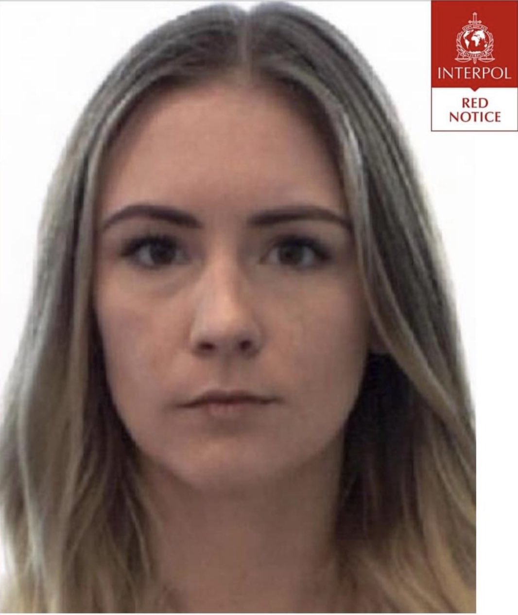 Crime Stoppers International on Twitter: 