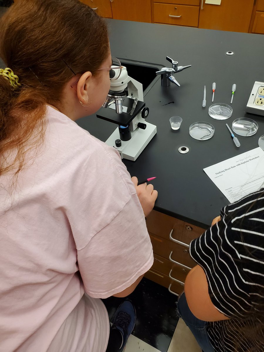 yankeeraider81's tweet photo. To end the first week of school. A&amp;P and Microbiology classes explored how to detect, manipulate, and correct homeostatic imbalances as seen in Daphnia magna. #kkidsalwayslearning https://t.co/1Jt4EMWHhj