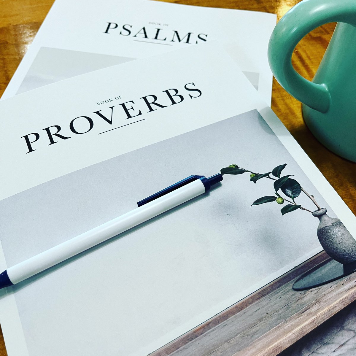 I’ve never been consistent at “daily devotions,” but know time in the Word is good for my mind &amp; soul. Just bought these two @alabaster_co books of #proverbs &amp; #psalms and loving it. So beautiful. #workinprogress  #GodTime
