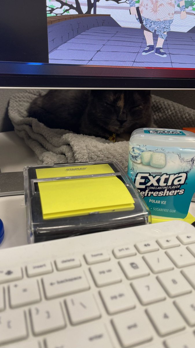 091116GP's tweet photo. When I bring my cat to the office https://t.co/NaE1ZSbgSW