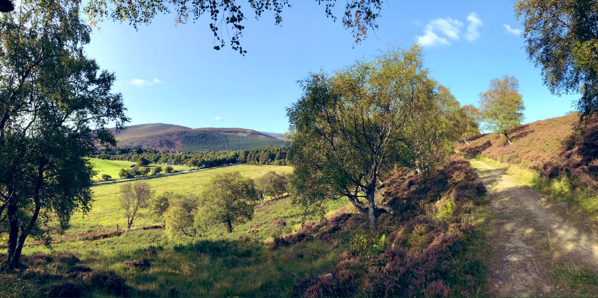 Our department <a href="/UoABioSci/">School of Biological Sciences</a> is hiring! Three lectureships (research + teaching) in animal physiology, marine biology (fisheries) and soil science. 

Happy to answer questions about the research-intensive department, the region (⛰🌊) and the visa process.

abdnjobs.co.uk/vacancy/lectur…