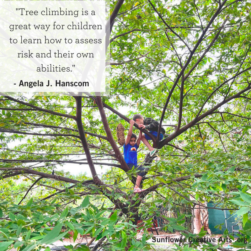 sunflowerarts's tweet photo. "Tree climbing is a great way for children to learn how to assess risk and their own abilities."
  - Angela J. Hanscom https://t.co/UEnpRlcLxL