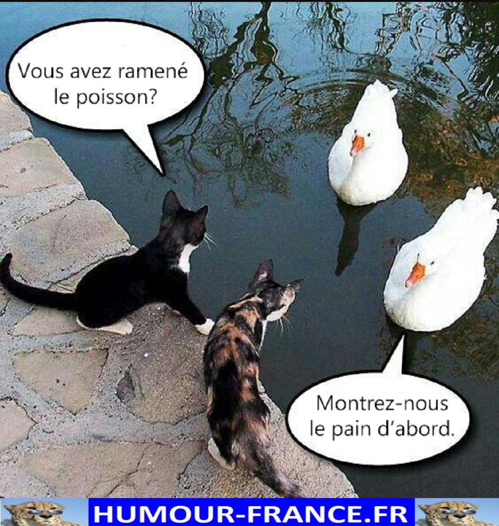 HHumourFrance's tweet photo. Humour-France : https://t.co/hT4KBy4VC9
Boutique : https://t.co/PyvZpZs4Rr
CHAINE YOUTUBE Humour-France : https://t.co/sPYQdq8khw
#funny #drole #humour #meme #video #lol #mdr #stupide #mdr #drolehumour #droles #marrant #jpp #rigolo #rire #blagues #blaguesdroles #rire #ptdr https://t.co/BaUltoSVAu