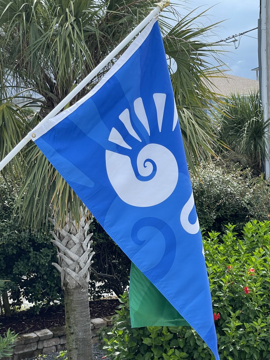 DrMDSaunders's tweet photo. Flying the colors for today's game! #goargos #uwfpres #argofootball https://t.co/lEYLyo0Tcl