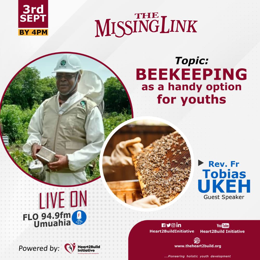 Heart2Build's tweet photo. Few  minutes from now, the ‘Missing Link’  will go live✨. Join   us exactly by 4pm for yet another  exciting  package. 

 There are special freebies coming your way 🥳

Don't miss it! https://t.co/j0dSucS4ms