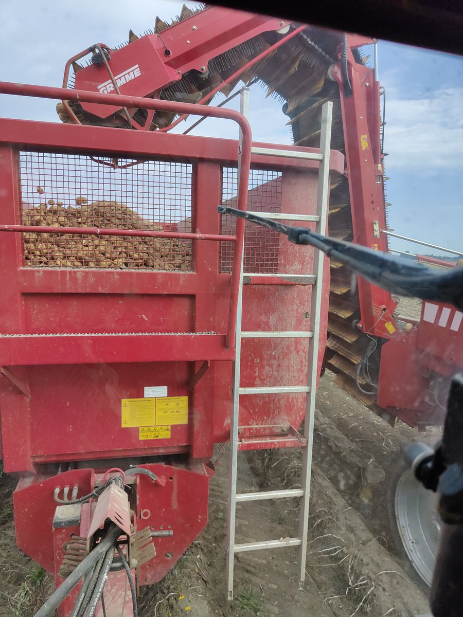 WBrooymans's tweet photo. Gister en vandaag de #frieslanders gerooid na 25mm beregenen. Nog wel aardig wat kluiten onderin het bed. Die hadden nog wel 25mm kunnen gebruiken..... #nkg #akker #oogst22 https://t.co/T4iA5ZIJDH