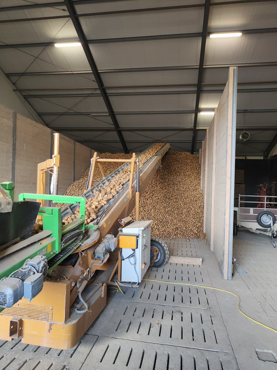 WBrooymans's tweet photo. Gister en vandaag de #frieslanders gerooid na 25mm beregenen. Nog wel aardig wat kluiten onderin het bed. Die hadden nog wel 25mm kunnen gebruiken..... #nkg #akker #oogst22 https://t.co/T4iA5ZIJDH