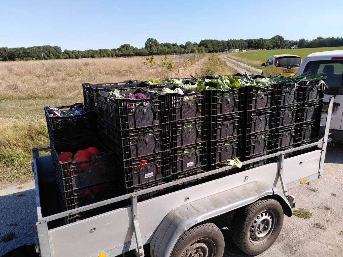 HerenboerAssen's tweet photo. Zo ziet dat er nou uit! 🤩
Een deel van de oogst wordt van de boerderij naar het uitgiftepunt getransporteerd. 
En je hoort het goed… dit is maar een deel van de vele vele kilo’s aan verse groenten die we elke week met elkaar verdelen! https://t.co/j9fuzwV4jA