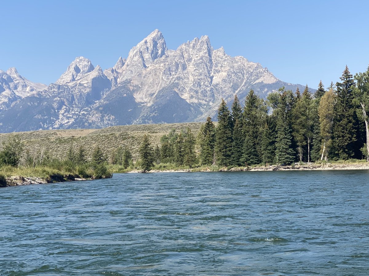 Richard Cohen tweet media