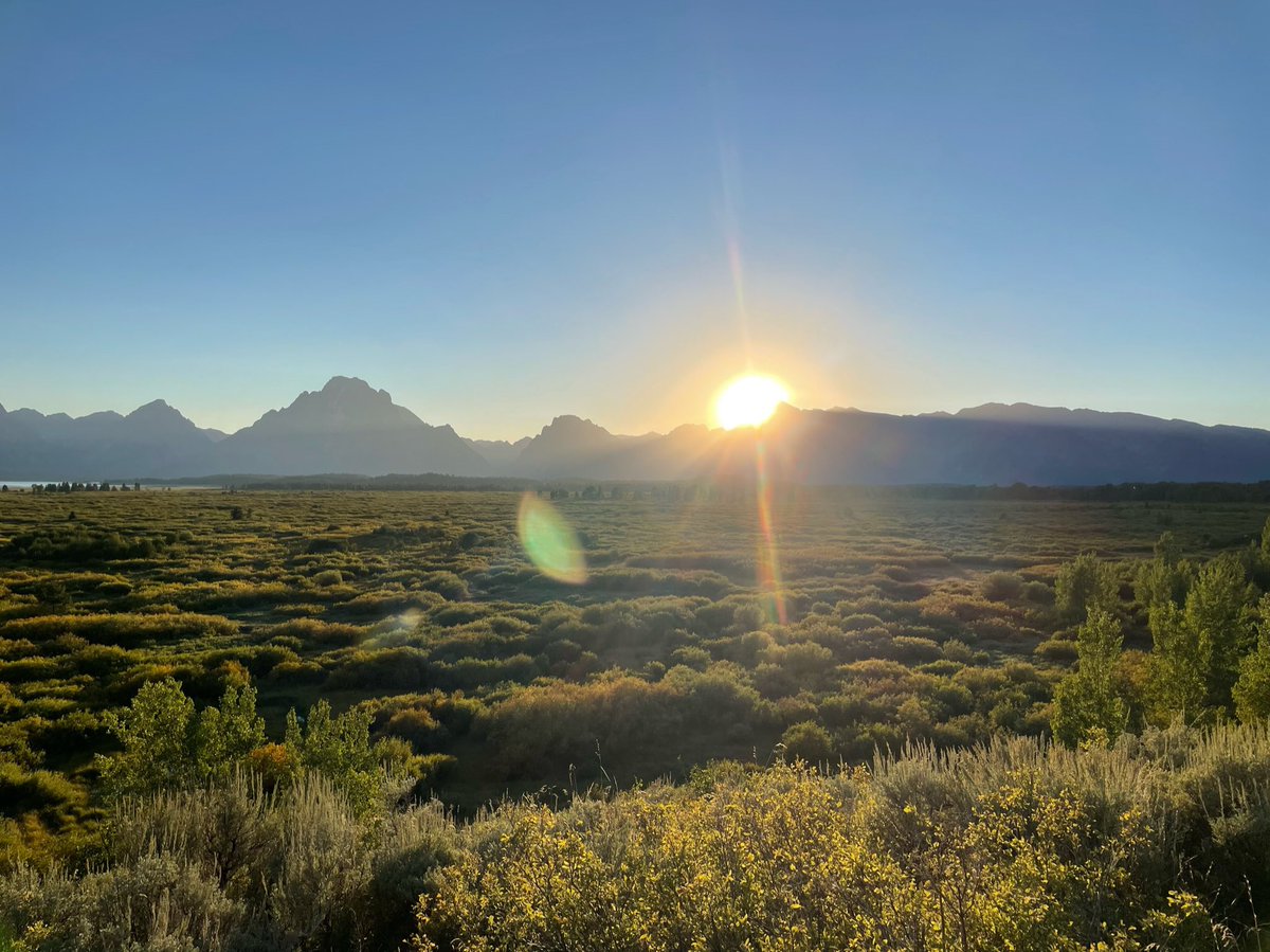 Richard Cohen tweet media