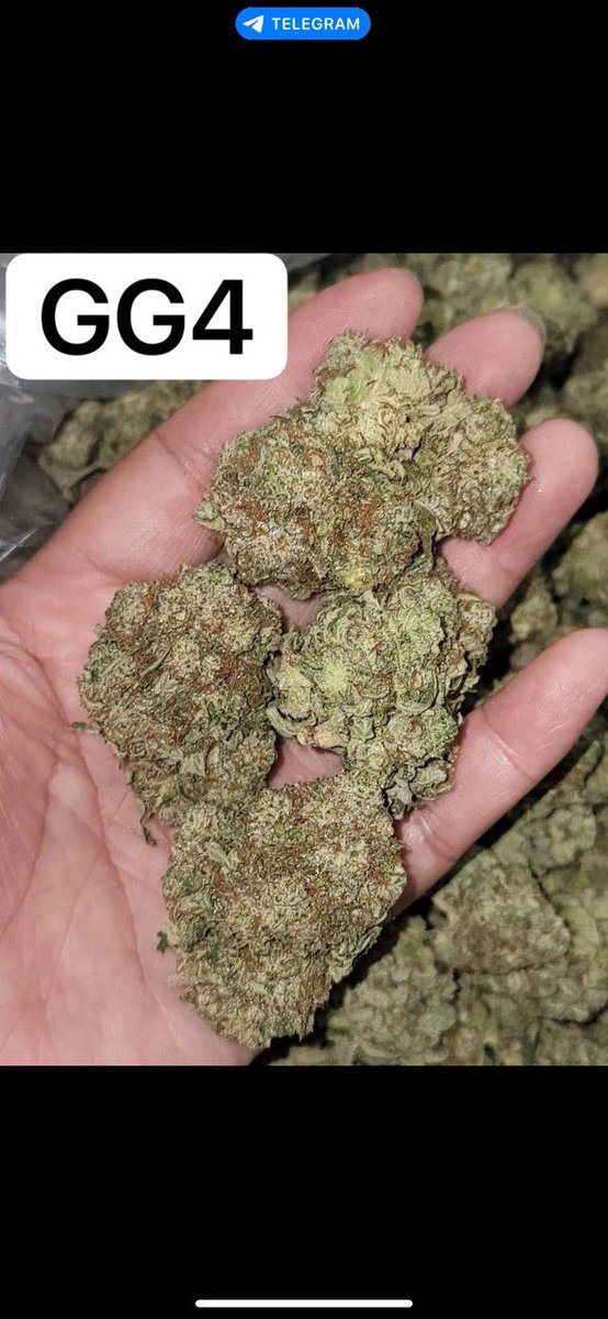 t.me/+FdqnrWLjBYU2Y…