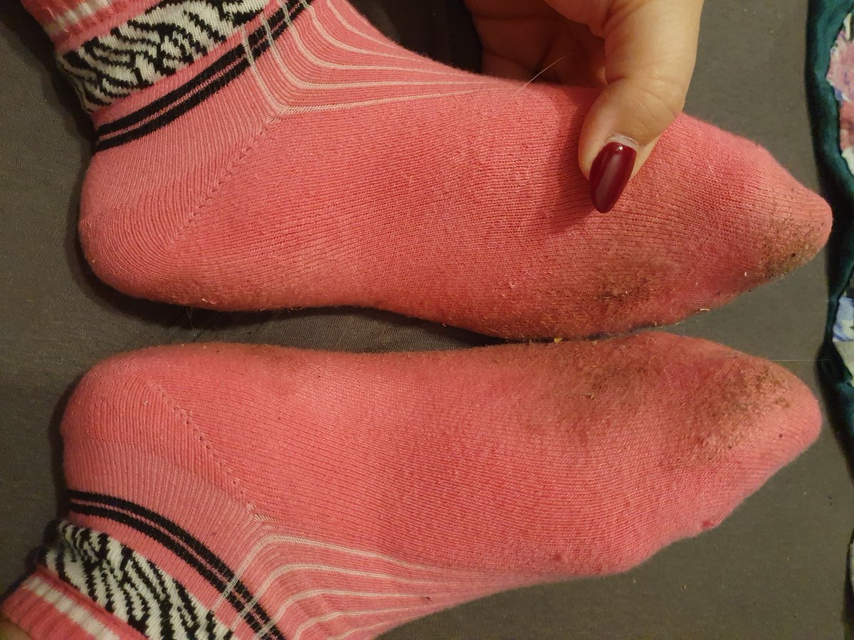 Susi_Dream's tweet photo. Leckst du mir meine Dreckstücke sauber? 😈 💜🧦

#socken #getragenesocken #Wäsche #getragenewäsche #Füße #feetfethish #feet #socks https://t.co/azlOfs66Xo