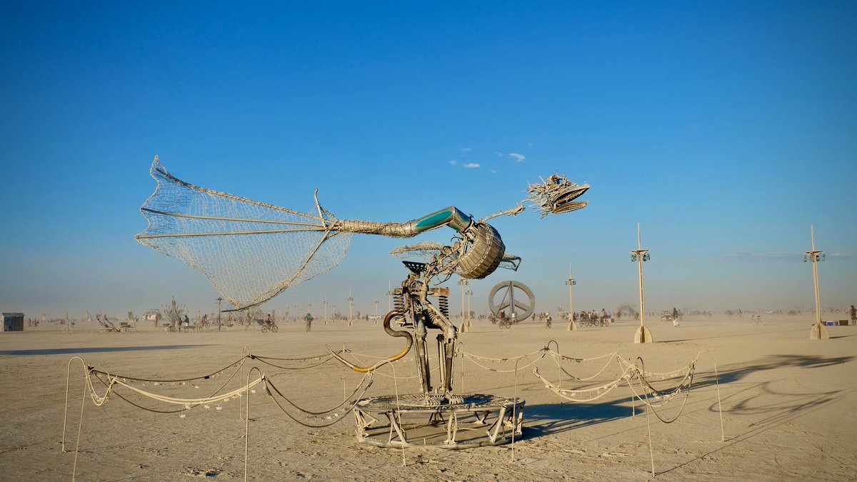 Will Roger tweet media