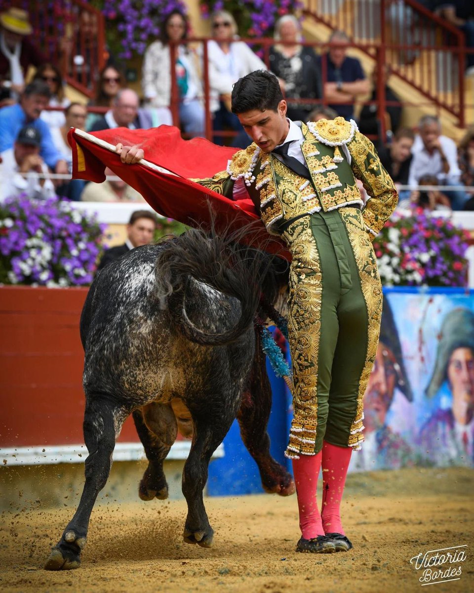 Bayonne <a href="/ArenesDeBayonne/">Arènes de Bayonne</a> 

📷 <a href="/BordesVictoria/">Bordes Victoria</a>