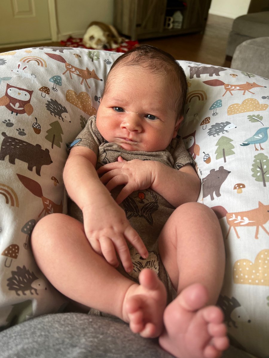 Kristennbeck_'s tweet photo. Tommy Jameson 🤍 mamas built in bff https://t.co/xtNCkaLyzT