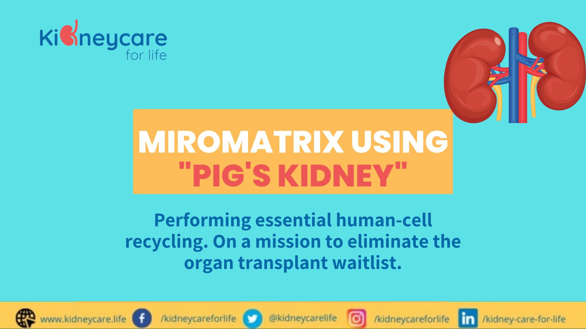 kidney care for life (kidneycarelife) / Twitter