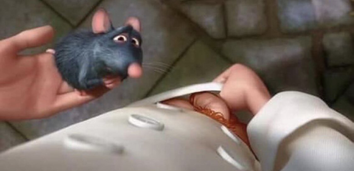 “ratatouille somebody’s coming!! hurry up!! hide!!”