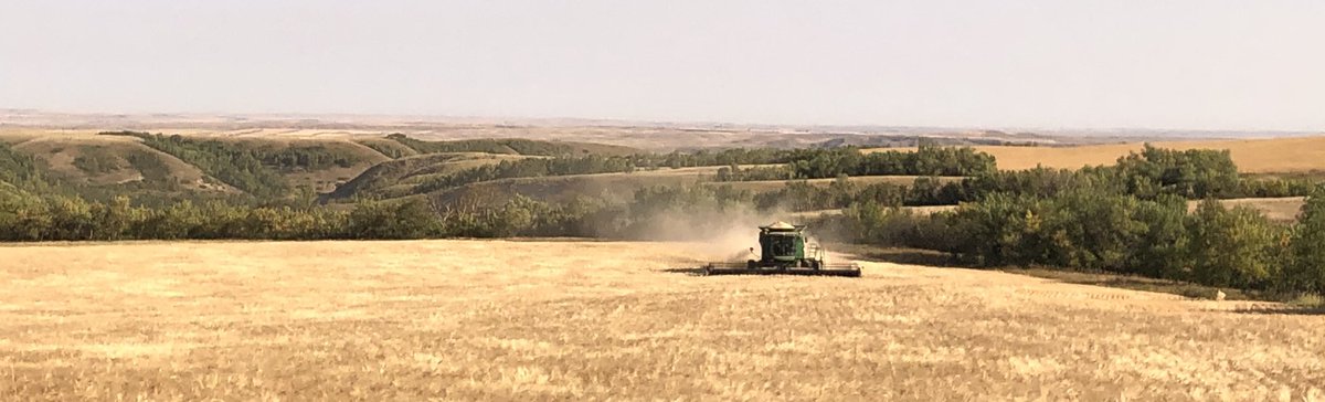 Chrisnoll_Sask's tweet photo. Big muddy valley views #harvest22 https://t.co/KlUj2gQAjg