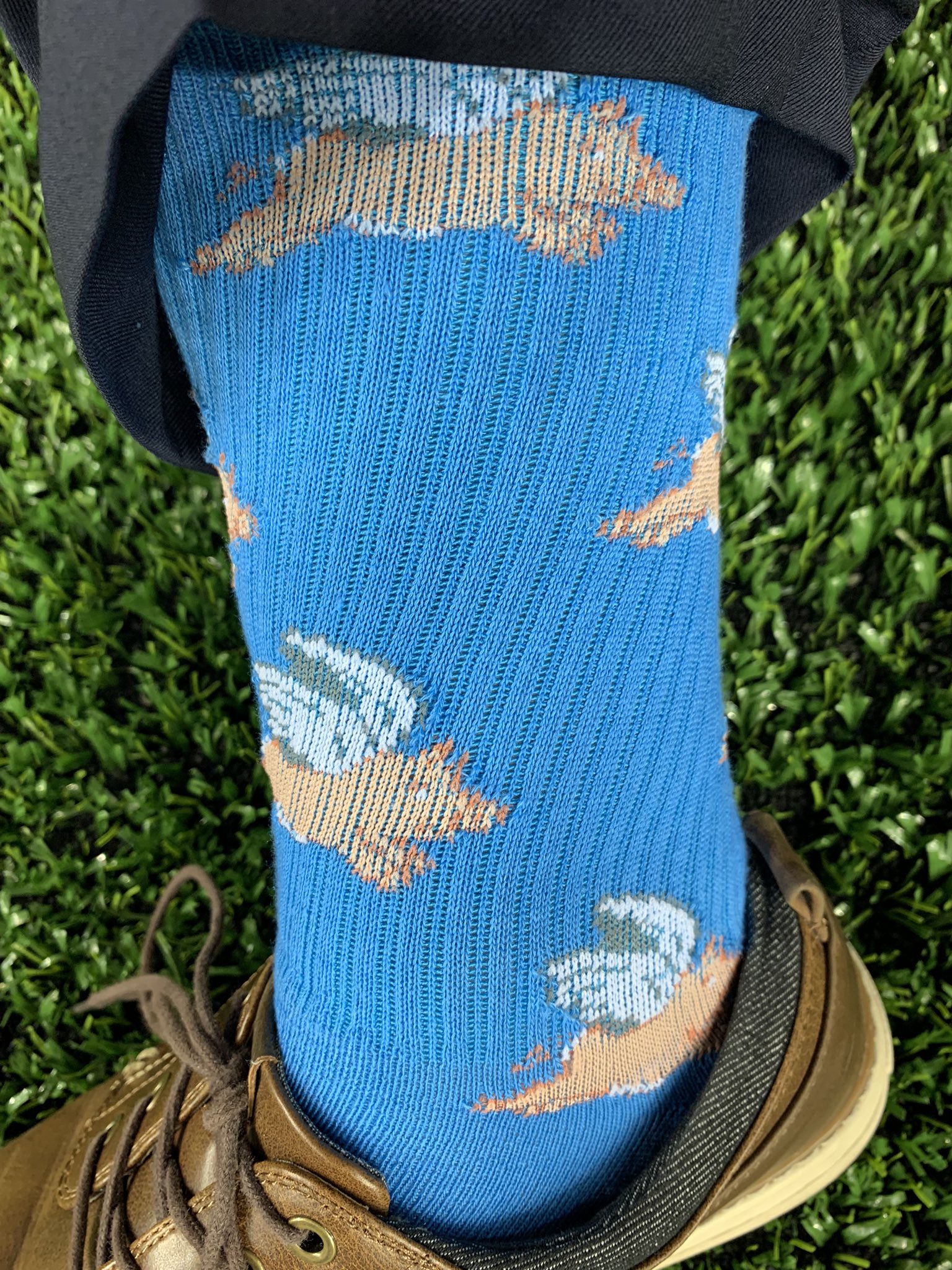 dom-izzo-on-twitter-today-s-sock-choice-was-inspired-by-a-college
