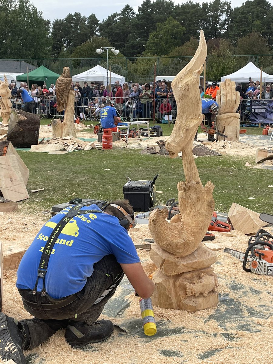 Will Anderson tweet media