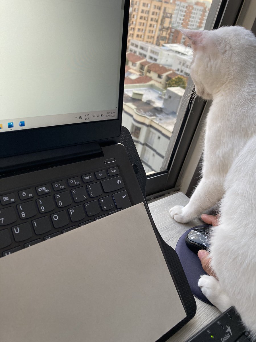 lechuga2609's tweet photo. @Mengaana Sentada sobre mi mano. Ella supervisa pero a mi no me rinde mucho... https://t.co/TwvhqijFcy