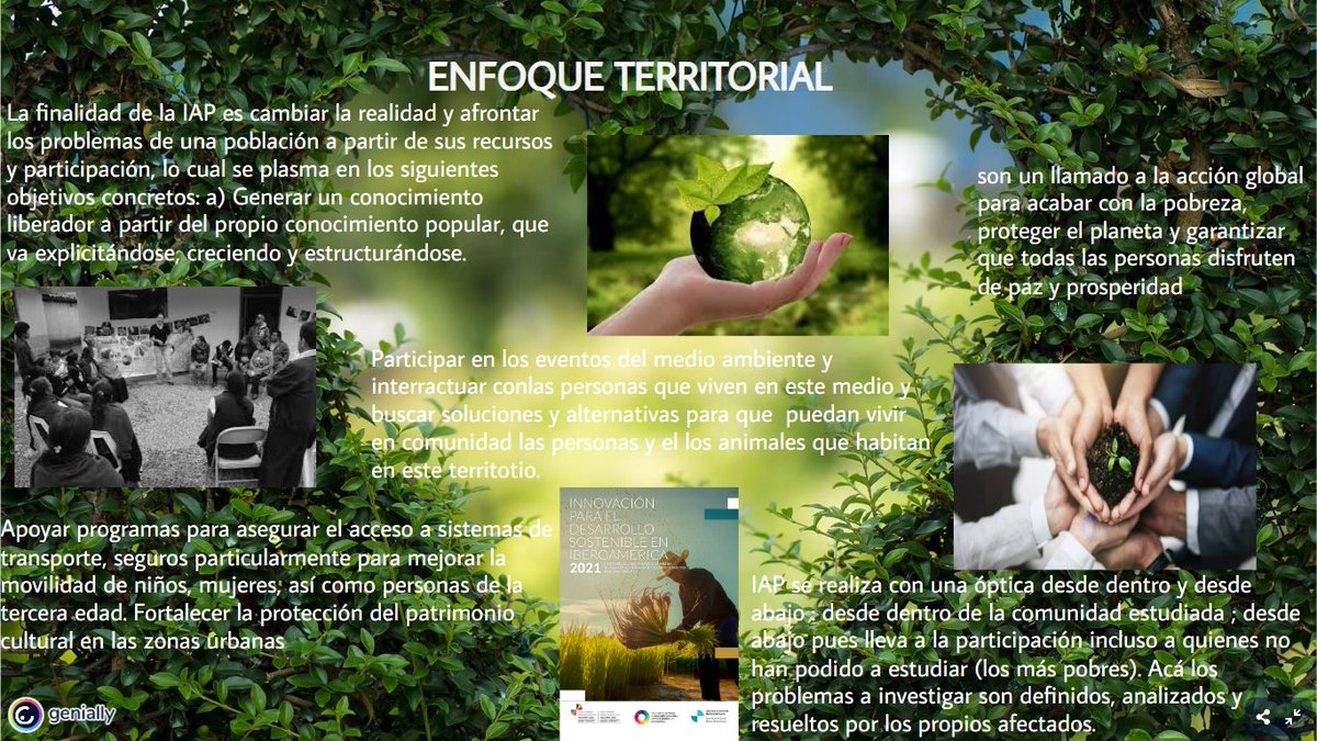 QuinteroRoseli's tweet photo. @ElOIRdelasRegiones. #ElOIRdelasRegiones. https://t.co/jYLFZCjY0Z