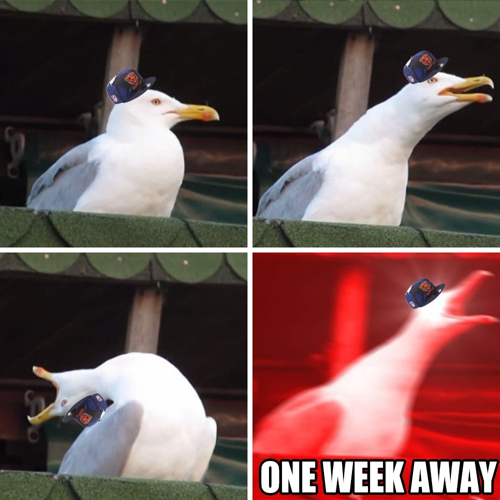 ChicagoBears's tweet photo. *clears throat* https://t.co/obMhejmCfj