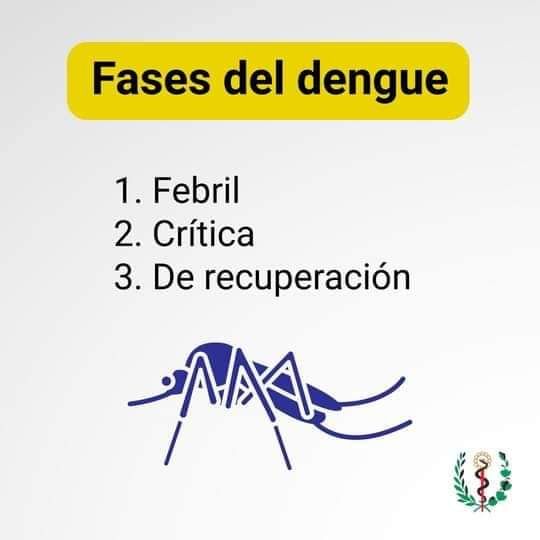 myb_jc's tweet photo. Al #mosquitoladies #No
#JovenClubMayaneque https://t.co/U71q6dr67l