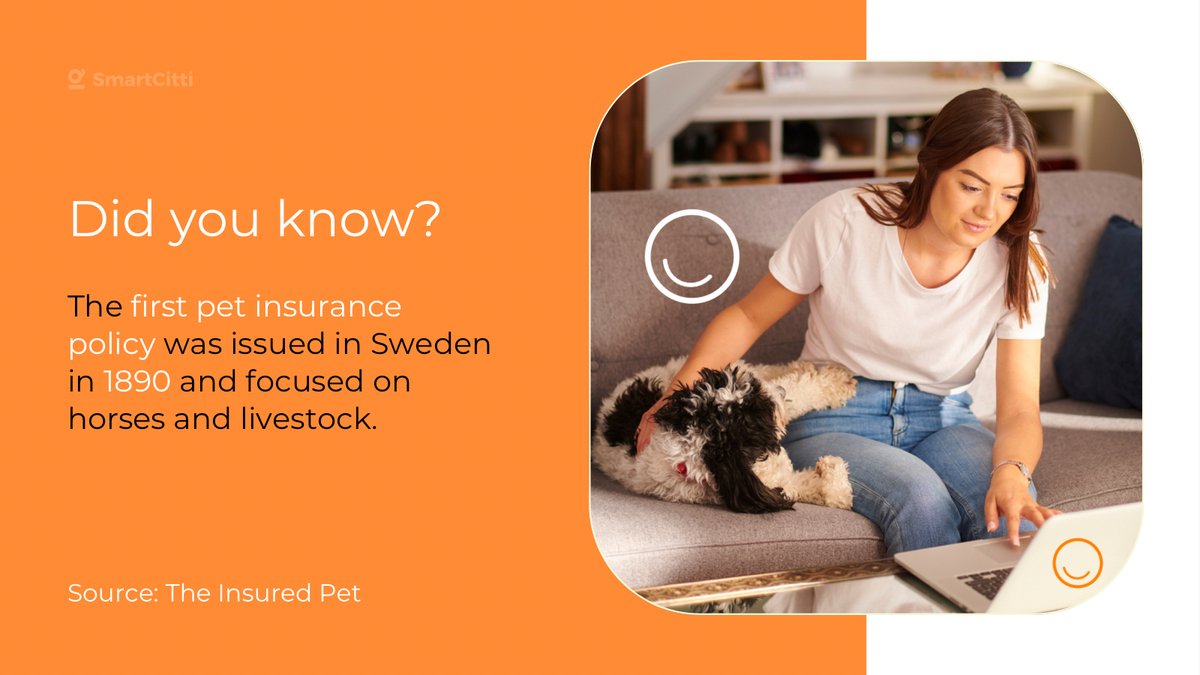 smartcitti's tweet photo. Is your #pet well protected? 🐾

Source: @theinsuredpetny

#NationalPetInsuranceMonth #petinsurance https://t.co/QVi9lO83Jw