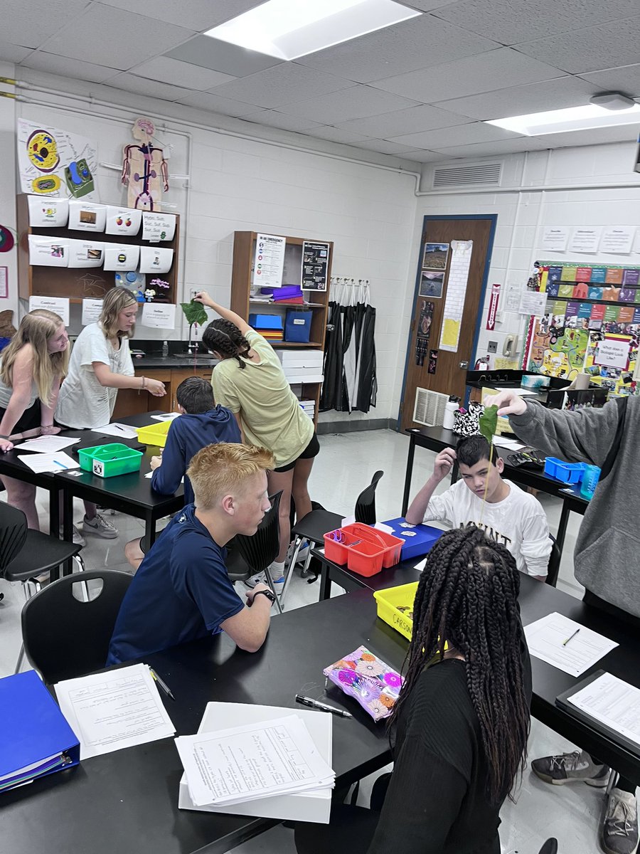 Robyn Allen (@mttaborbiology) on Twitter photo Science is back <a href="/Tabor_City/">Mount Tabor High</a> ! Ended a great first week with practice using the scientific method in all levels of Biology with leaf tests and pill bug experiments. Science is back <a href="/Tabor_City/">Mount Tabor High</a> ! Ended a great first week with practice using the scientific method in all levels of Biology with leaf tests and pill bug experiments.