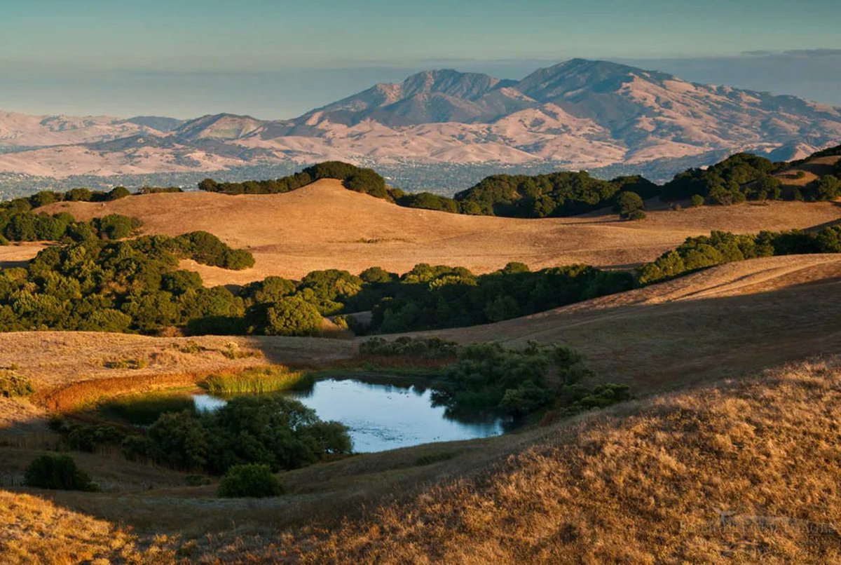 It's going to be sooo hot today! #EastBayCA #MtDiablo ☀