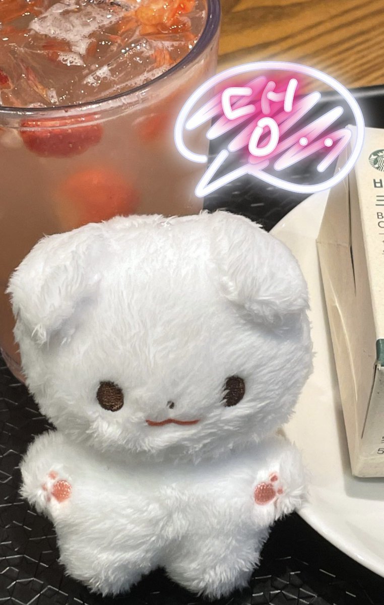 merrronnn's tweet photo. 헤어짐이 아닌 안녕 🫶🏻

#함께걷는댕구와_발을맞추고 https://t.co/AUvt3s7i4k