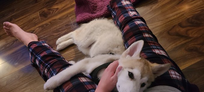 1 pic. If you hook up with me you get a bonus of getting to hang out with this cute lil guy... https://t