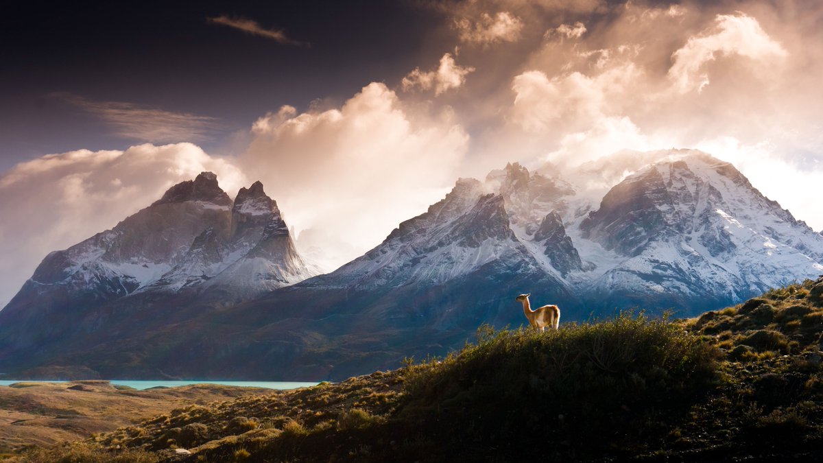 AnnetteTandeR's tweet photo. If ever there was a good reason to visit #Chile, this national park would be it. #traveltips  https://t.co/euJzmwvQc3 https://t.co/WWDzmBIeod