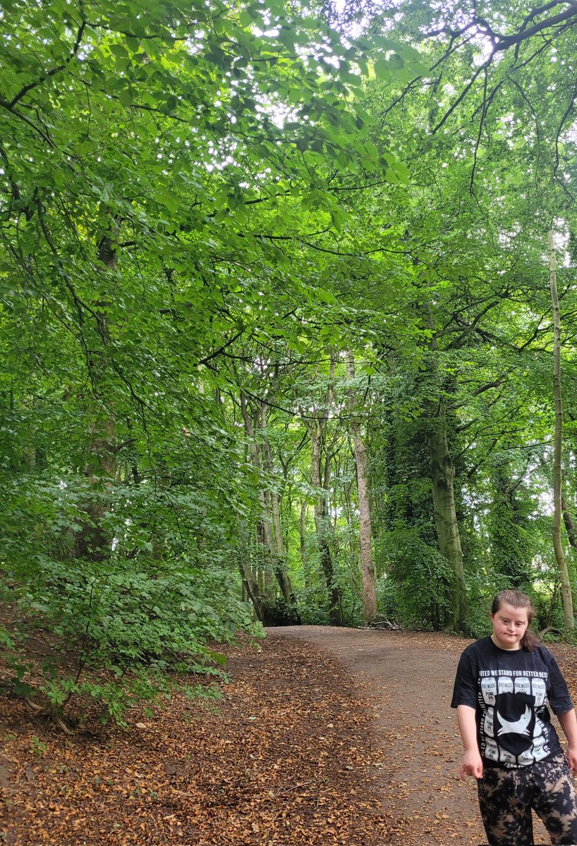 MissIsabel6's tweet photo. Been for a walk through the very tall trees https://t.co/4Mn9hHeSVz