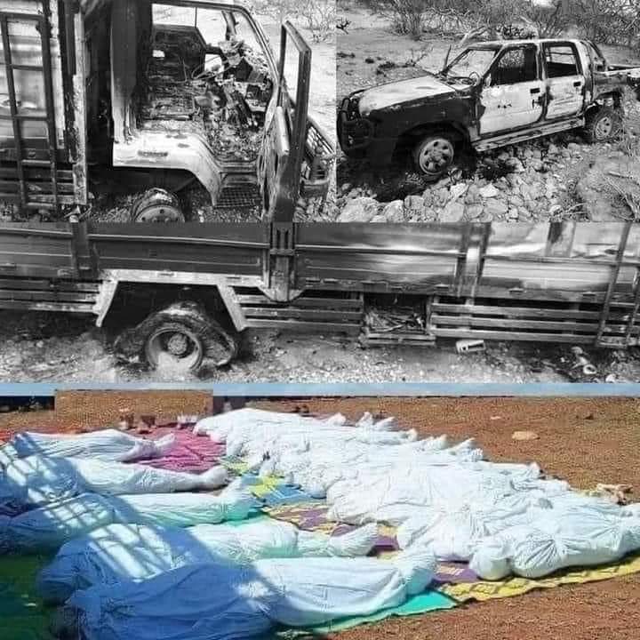 ShAbdiHersy's tweet photo. Alshabab are the enemy of Somalia. They are foreign investment to destabilize Somalia so the resources could be looted. The unnecessary delay in bringing @SNAForce troops from Eriteria gives them more time to do more atrocities. @HassanSMohamud must counter &amp; stop these thugs. https://t.co/OLobMRSqRo