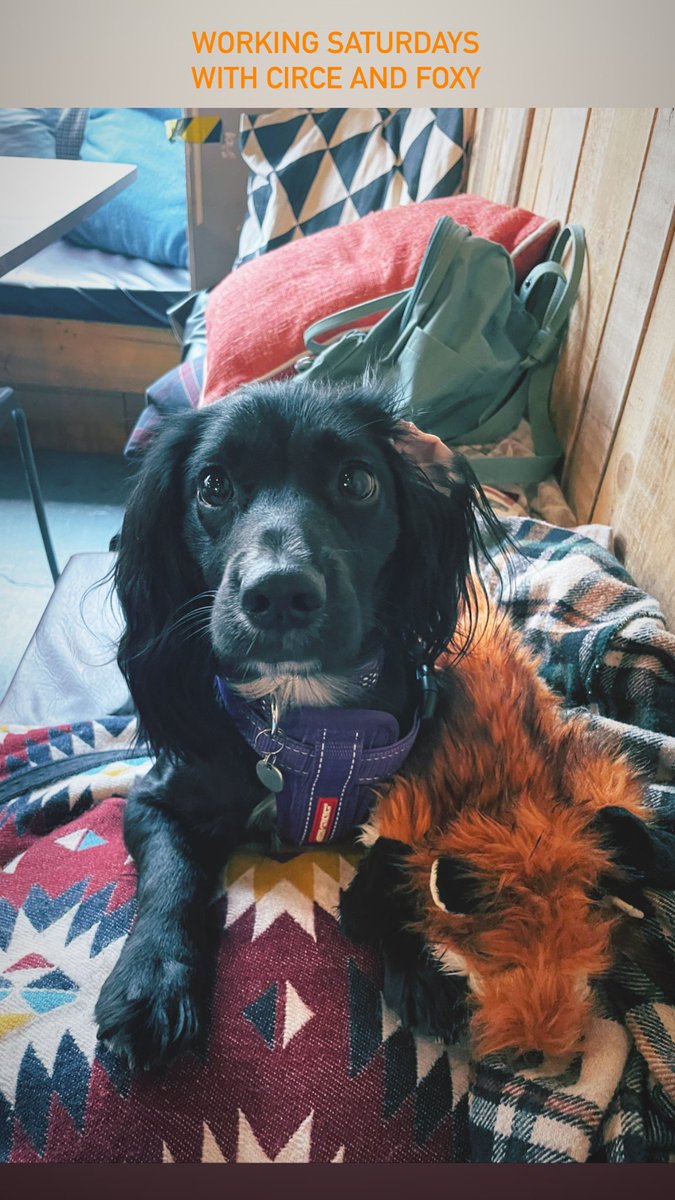 Miss Dodds tweet media