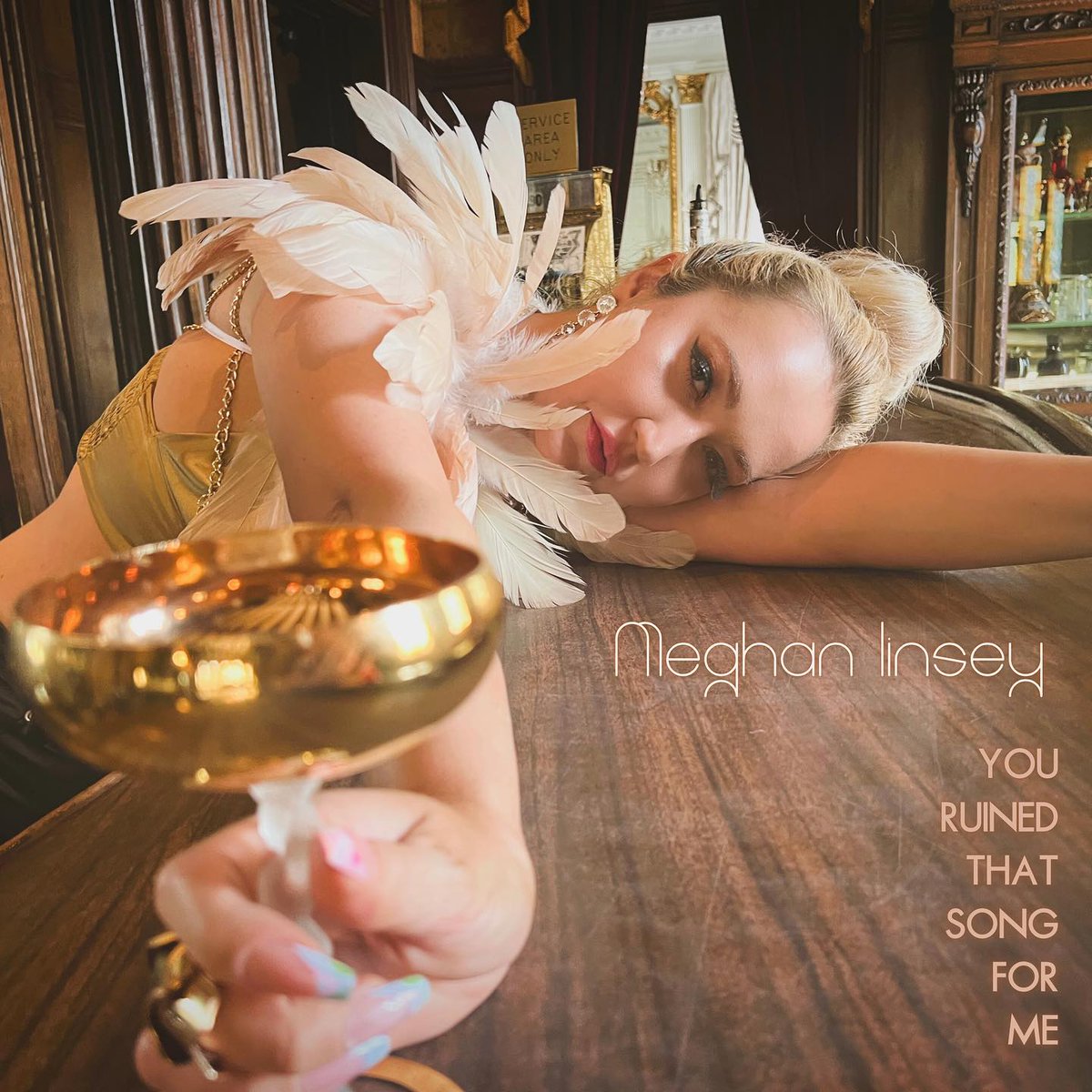 'You Ruined That Song For Me' by @meghanlinsey :) New music released yesterday! This song is amazing!!! Meg's vocal ability is absolutely incredible! Go download and stream today! distrokid.com/hyperfollow/me…