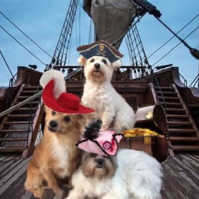 peemail's tweet photo. Ahoy, Matey!! It’z Pirate Month! All hand hoy! 🏴‍☠️🐾😀💥 Cap’n Peg Leg Samson &amp; Da Swashbucklin’ Fursibz reportin’ fur nite watch! 🏴‍☠️ RaaRarr!! #ZSHQ #NewProfilePic https://t.co/GOckA4LNd6